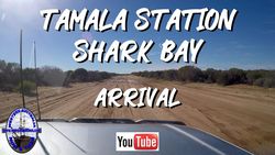 Shark Bay - Arrival